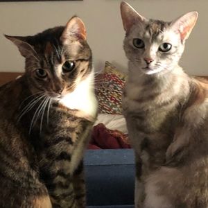 Meet your Posher, Tiffany